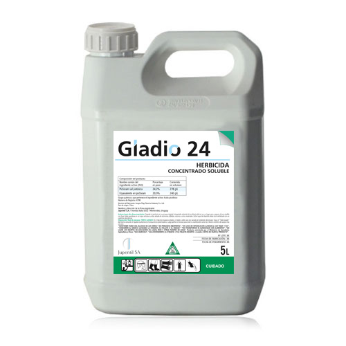 Picloram GLADIO 24 x  5 lts.