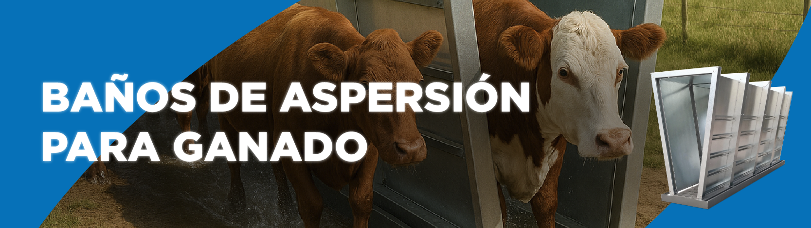 Bao Aspersin