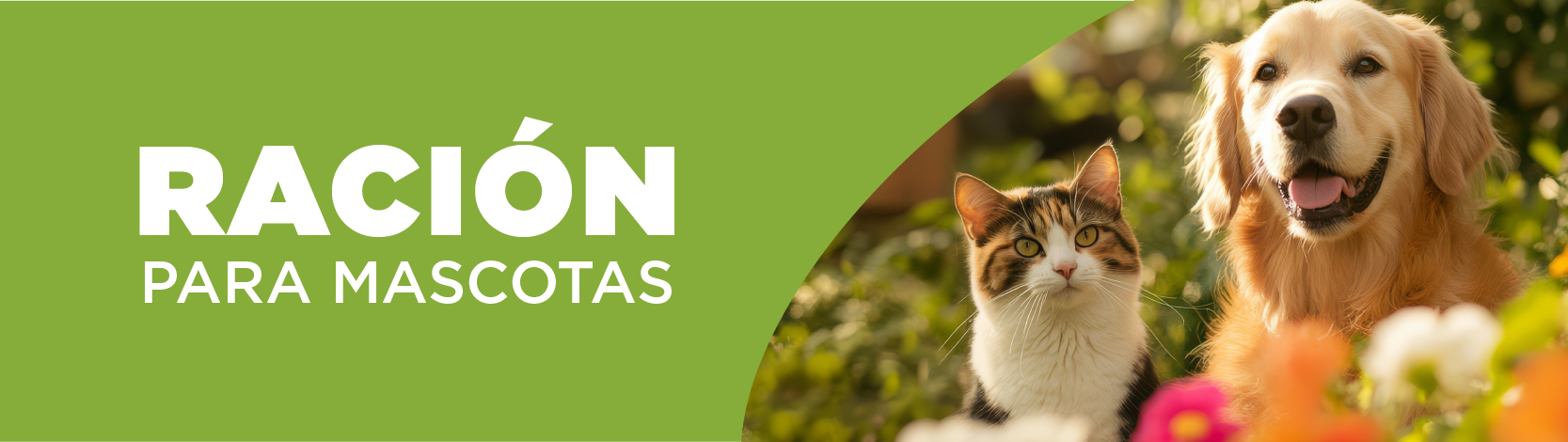 Raciones para mascotas