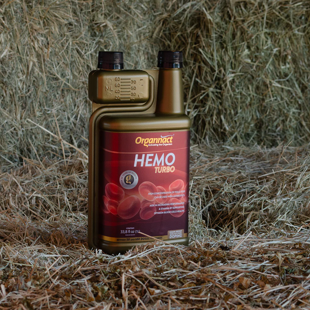 extra_image_preview_Organnact_Hemo_Turbo_Horse_Supplement.webp