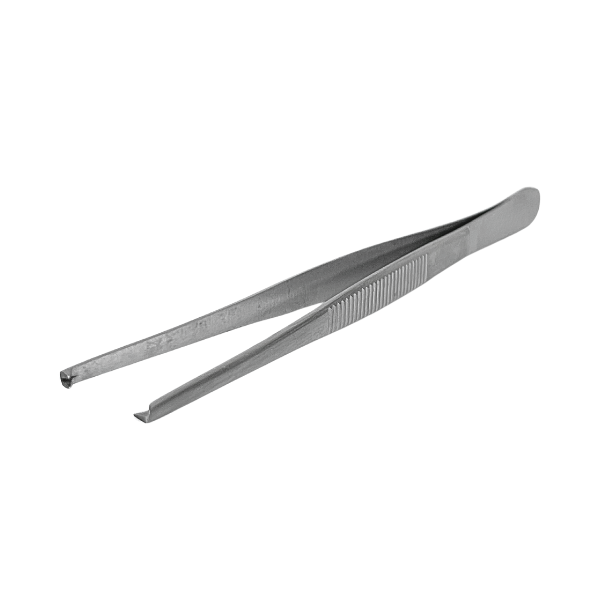 Pinza diseccion diente raton 15.5 cmt
