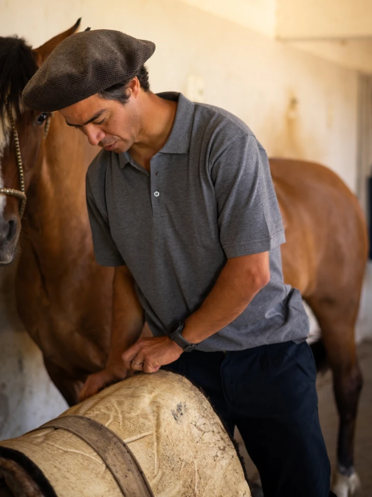 Remera DEYUNTAS Polo Gris 