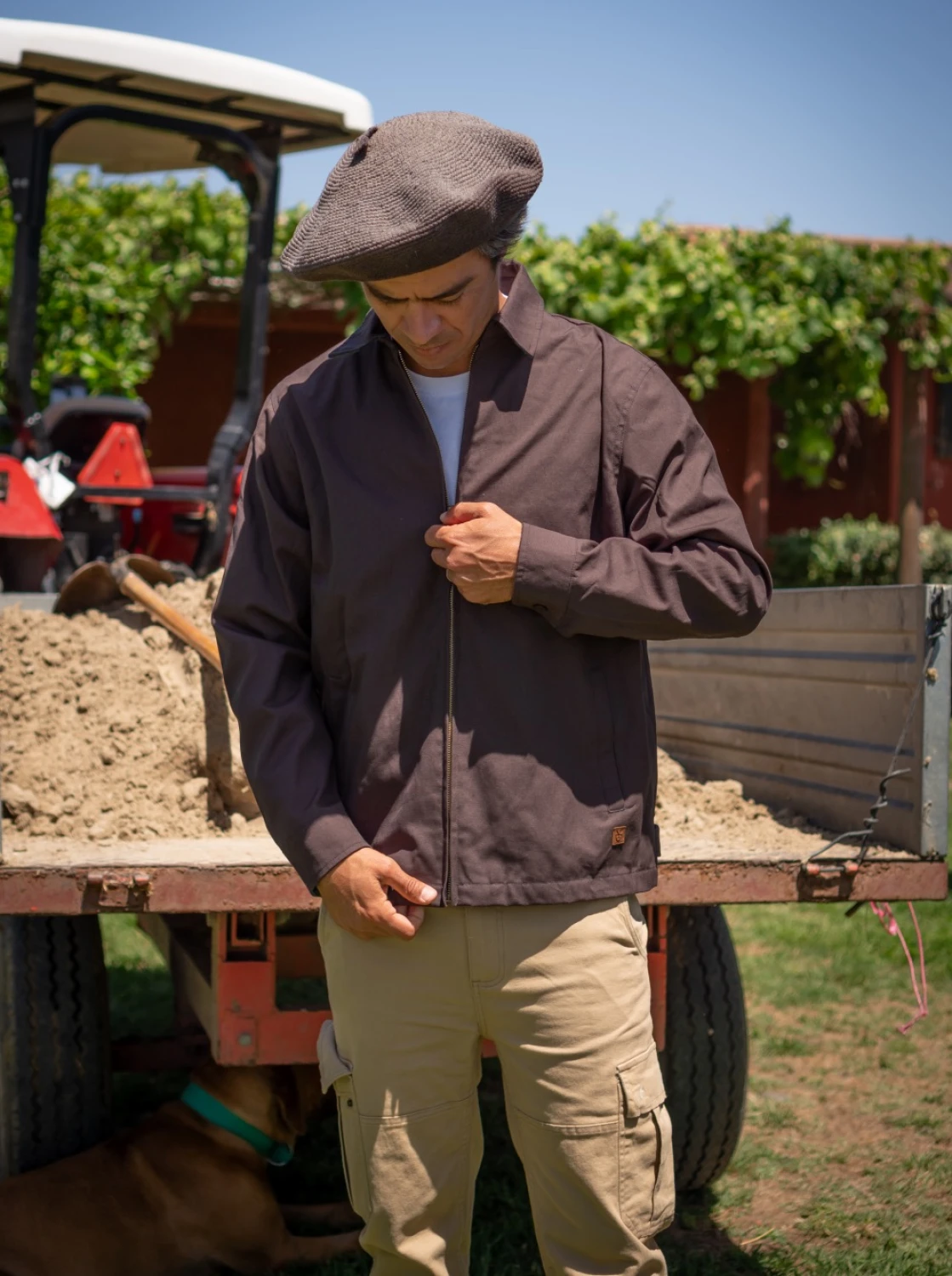 Campera DEYUNTAS gabardina  tostado