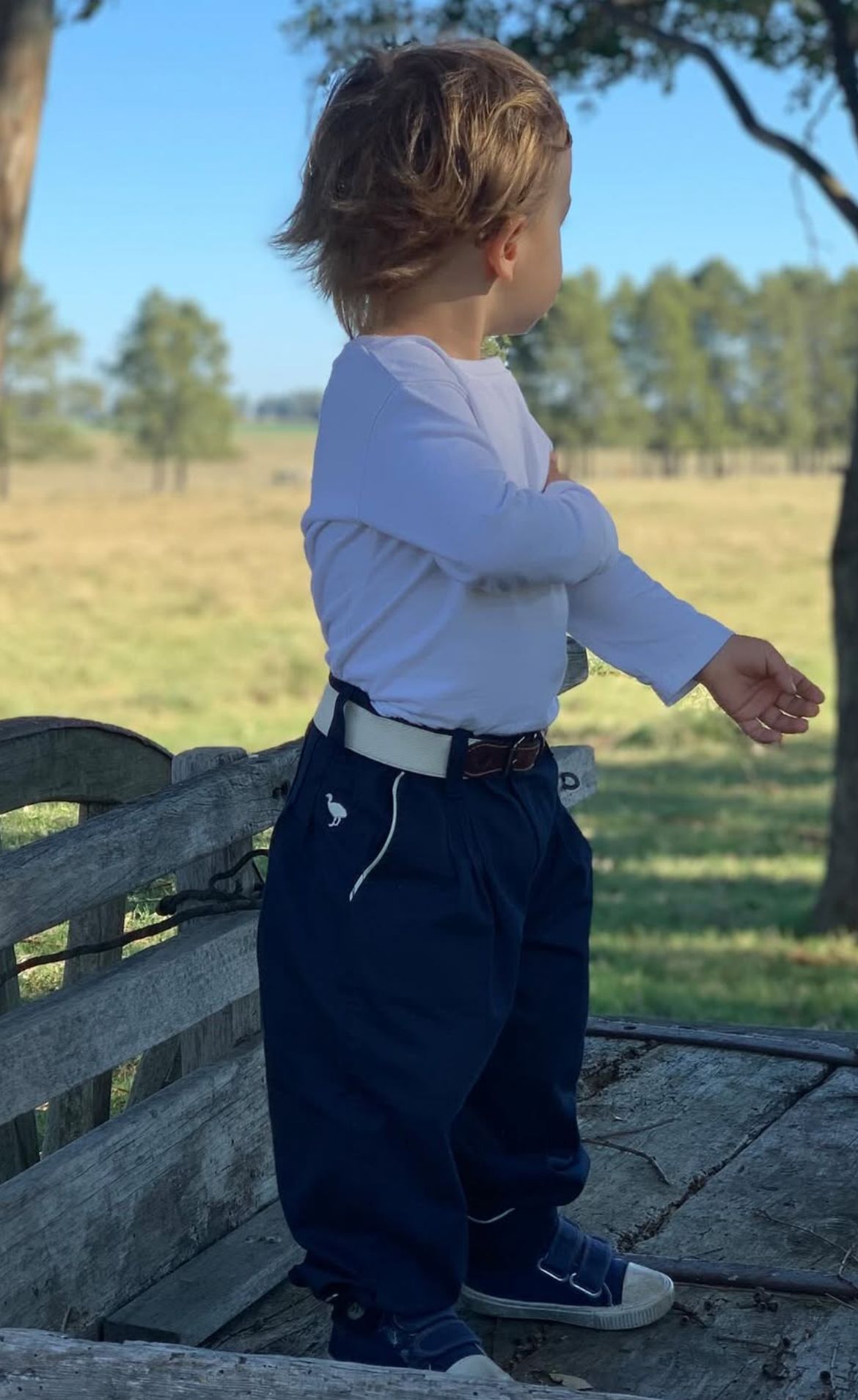 CHARABON Bombacha gabardina azul