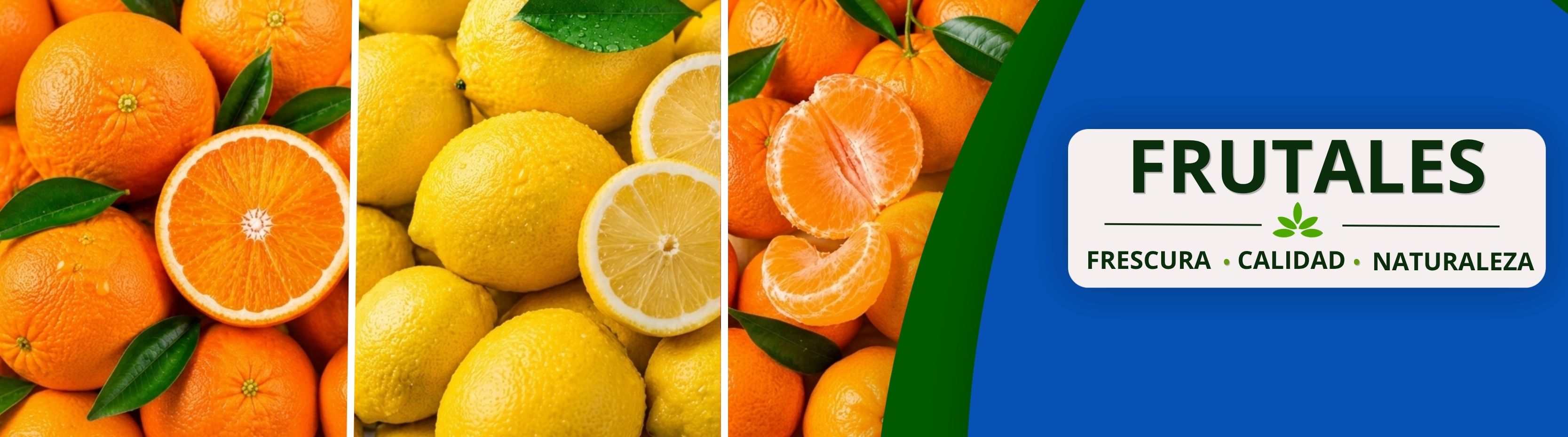 Nuevos Arboles frutales 