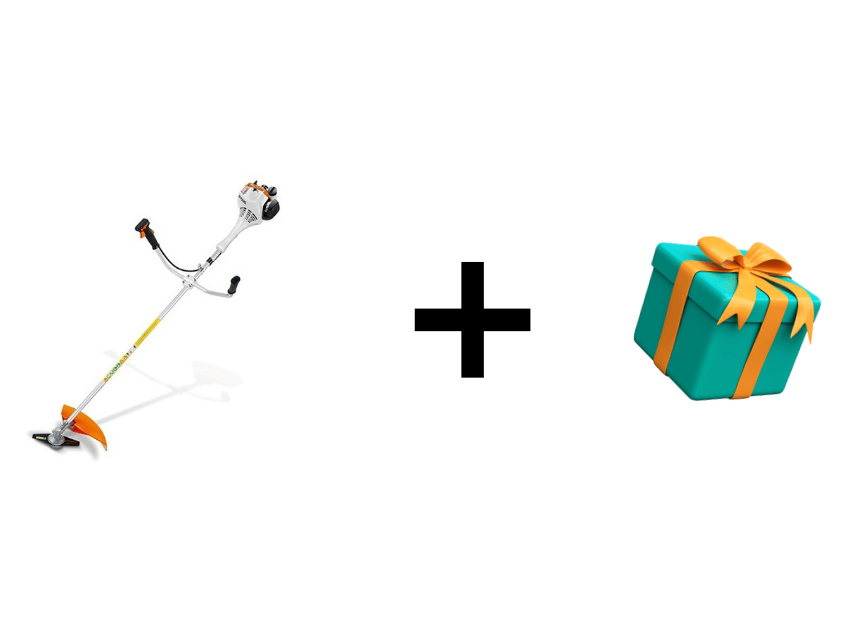 Desmalezadora STIHL FS 55 + Regalo