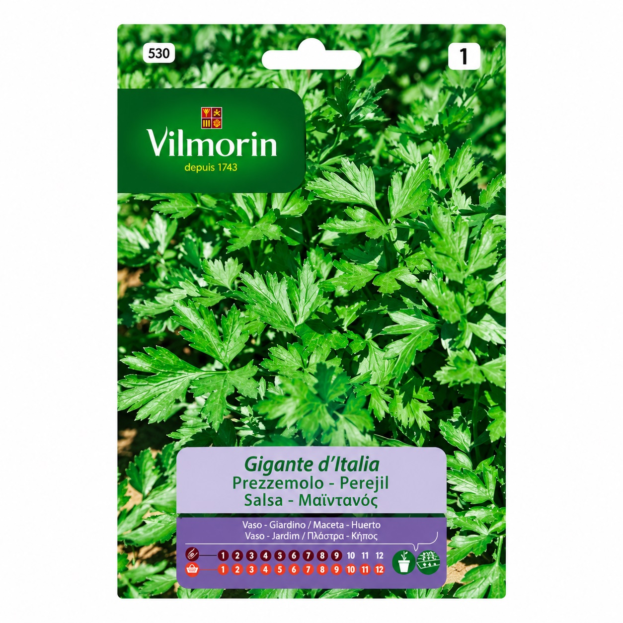 Semilla de perejil gigante d`italia Vilmorin (530)