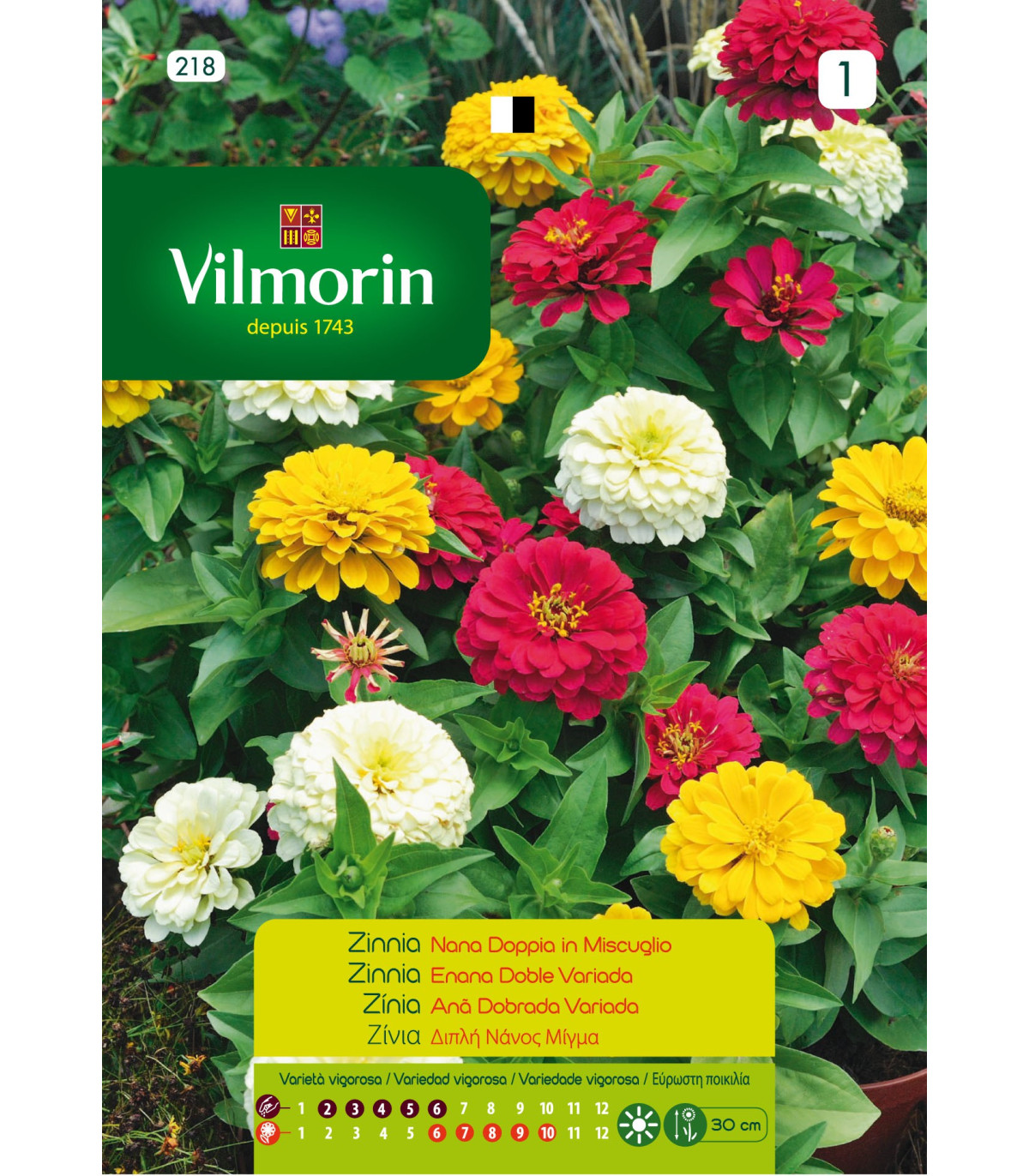 Sem.VILMORIN zinnia enana doble(218)