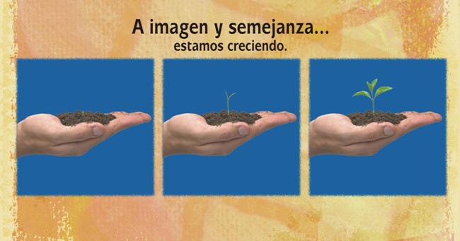 Crecemos
